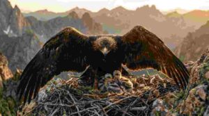 Bajo Sus alas: Dios recompensa a quienes confían en Él